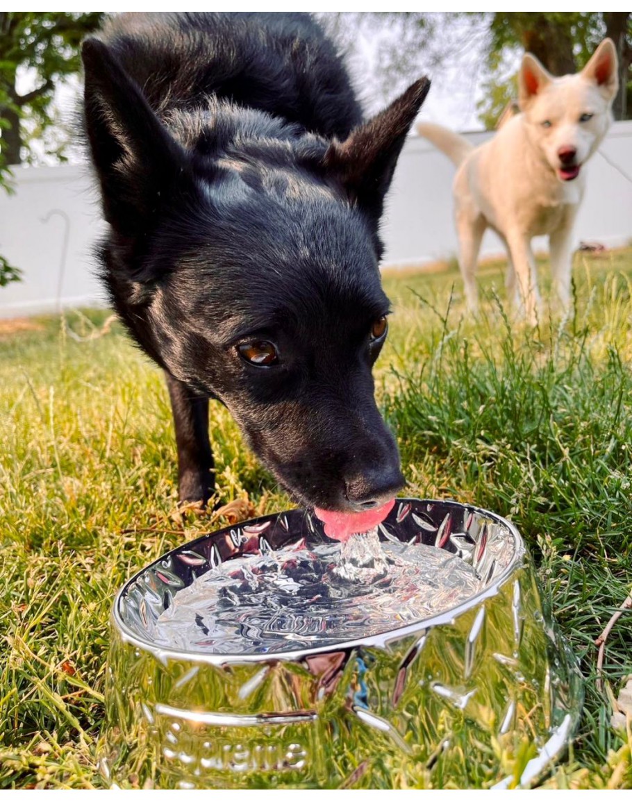 Supreme - Supreme Diamond Plate Dog Bowl  シュプリーム Supreme Diamond Plate Dog Bowl (SS23) - $48